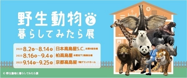 野生動物と暮らしてみたら展