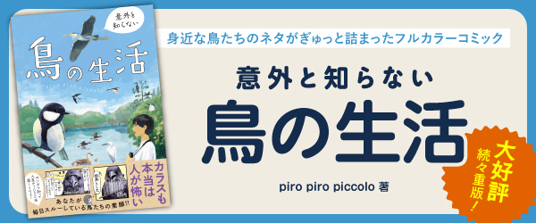 意外と知らない鳥の生活