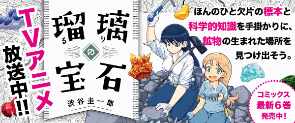 瑠璃の宝石 ６