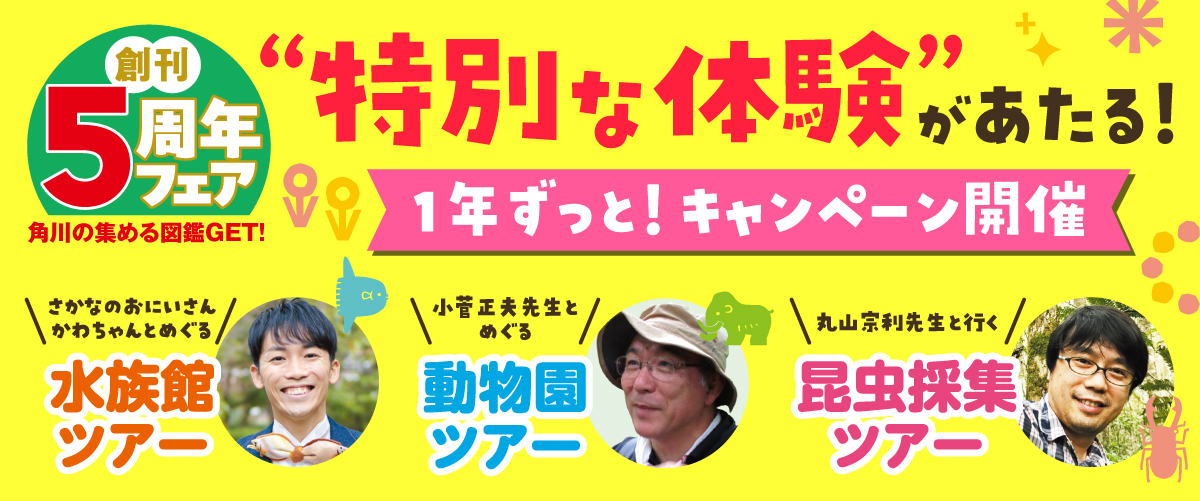 角川の集める図鑑GET！ ひらめく理科」日本科学未来館 [学習