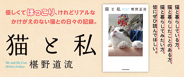 猫と私
