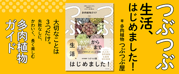 つぶつぶ生活、はじめました！ 大切なことは3つだけ。失敗なしに、かわいく、長く楽しむ多肉植物ガイド