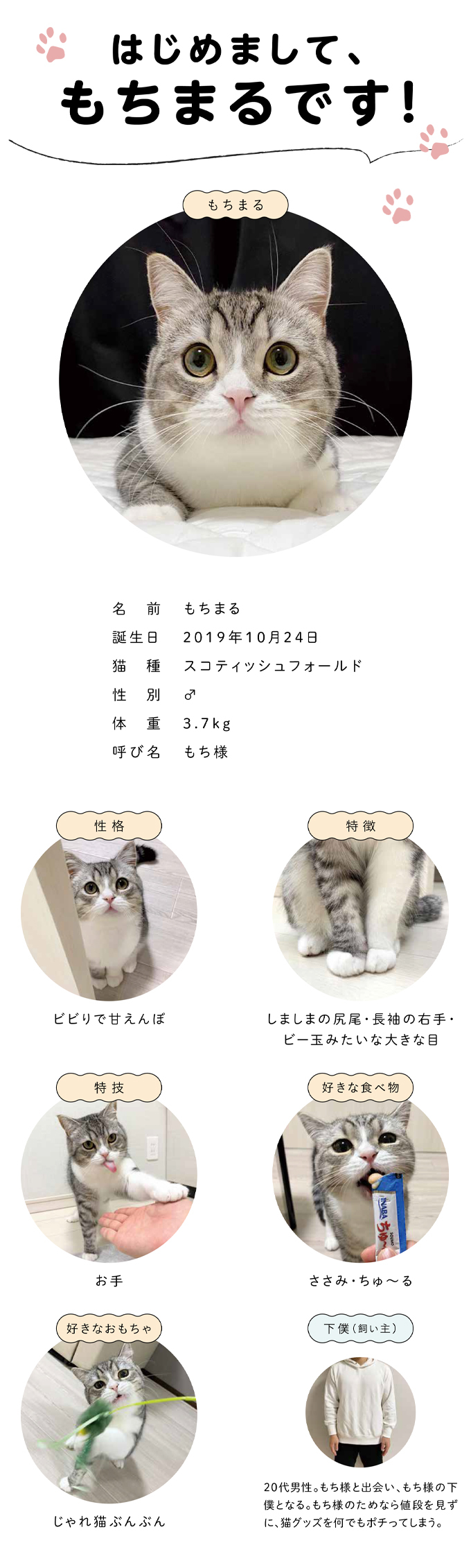 ゆったり柔らか もちねこさま♡専用ページ | www.kdcow.com