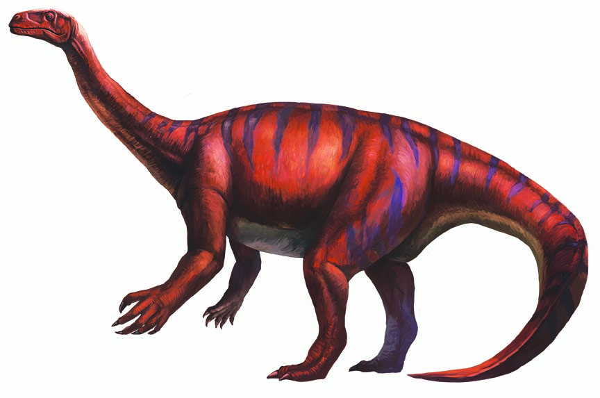 プラテオサウルスイメージ画像