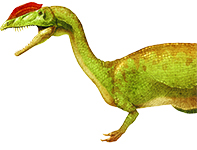 ディロフォサウルスイメージ画像