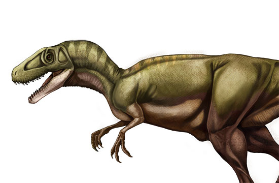メガロサウルスイメージ画像