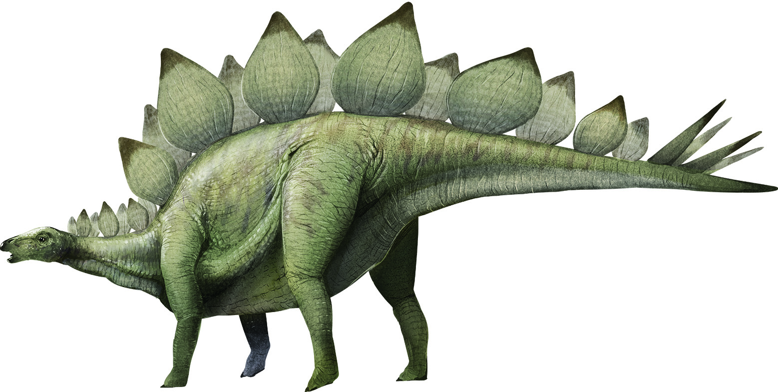 ステゴサウルスイメージ画像