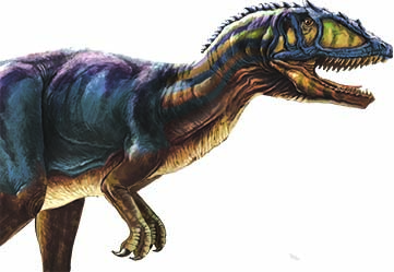 カルカロドントサウルスイメージ画像